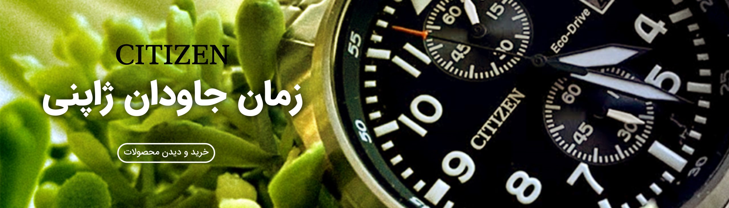 بنر سایت - گالری ساعت حافظی