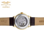 ساعت مچی مردانه اورینت(ORIENT) مدل RA-AP0106S