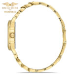 ساعت زنانه دیس کایک مدل DK.1.AG1415.04